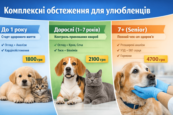 HEALTH CHECK / СПЕЦІАЛЬНІ ПРОПОЗИЦІЇ