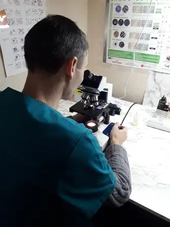 ветеринарні лабораторні послуги в Дніпрі