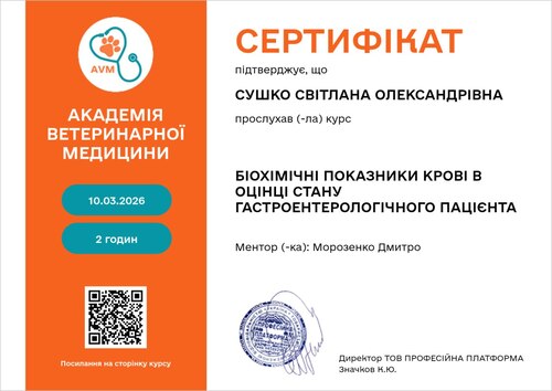 Диплом або сертифікат — Сушко Світлана Олександрівна